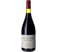 Poligonos San Pablo Malbec 2023 - Familia Zuccardi
