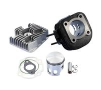 Polini 166.0076/12r Racing Ø47mm Yamaha/minarelli Cylinder Kit