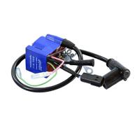 Polini 171.0685 Ignition Coil