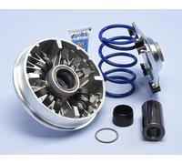 POLINI Hi-Speed Variator 12 Rollers - Honda SH 350
