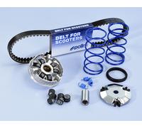 POLINI High Speed Variator