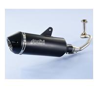 Polini Exhaust for Vespa GTS 125, GTV 125 Euro4 2016-