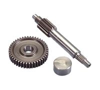 Polini Minarelli Yamaha 13/44 2021370 Primary Driven Gear
