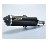 POLINI Muffler - Black Aluminium Piaggio, black