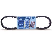 POLINI Standard Transmission Belt
