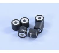 POLINI Variator Rollers 19x17mm 10,2gr - Set of 6