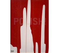 Polish!: contemporary art from Poland