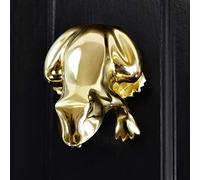 Polished Brass Frog Door Knocker