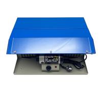 Polishing Buffing Machine 110V/220V 200W Jewelry Bench Polisher with Adjustable Variable Speed and Light Tube for Store Studio