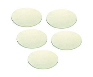 Polishing Felt PF-STF-D180x6-W/5