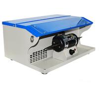 Polishing Machine, Desktop Vacuum Polishing Machine with Light Tube, Double-head Design, 2-in-1 Vacuum Cleaner and Polisher, 0-8000 Rpm Adjustable Speed, for Gold and Silver Jewelry