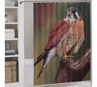 POLIUAWS American Kestrel Falcon Shower Curtains Mould Proof Waterproof Polyester Fabric Modern Fabric Bathroom Decor Set for Bathroom Bathtub Apartment Decor 64.17x70.87Inch（163x180cm）