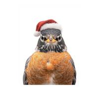 POLIUAWS American Robin Bird Wearing Santa Hat Diamond Painting DIY Full Round Drill Tools Kit Bead Diamond Art Kits Adults for Leisure Time 16"x20"