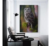 POLIUAWS Boreal Owl Canvas Wall Art Bedroom Wall Art for Teenage Boys Bedroom Large Abstract Canvas Wall Art 16x24inch(40x60cm)