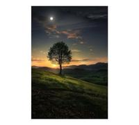 POLIUAWS Daybreak Over The Valley DIY Diamond Art Kits Adults for Leisure Time 5D DIY Full Drill Accessories Tools Kit 8"x12" Diamond Painting