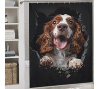 POLIUAWS English Springer Spaniel Waterproof Polyester Fabric Shower Curtains Set with 12 Hooks for Bathroom Bathtub Apartment Decor 69.69x70.87Inch（177x180cm）