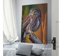 POLIUAWS Northern Pygmy Owl Canvas Wall Art for Living Room for Boys Room Girls Room Canvas Wall Art 20x30inch(50x75cm)
