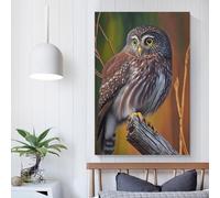POLIUAWS Northern Pygmy Owl Wall Pictures Living Room for Rustic Farmhouse Bathroom Decor Wall Canvas 20x30inch(50x75cm)