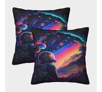 POLIUAWS The Last Astronaut Cheap Pillows Xmas Cushions Covers Wrinkle Free Breathable Pillows Cases 2 Pack 40x40cm