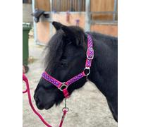 POLKA DOT HEADCOLLAR WITH LEAD ROPE FULL-MINI SHETLAND (Raspberry, Full)