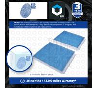 Cabin Pollen Filter X2 Fits BMW 518 d Touring 520 d xDrive Blue Print ADB112510