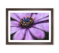 Pollen Of A Purple Gerbera Flower Painting Modern Art Framed Wall Art Print, Ready to Hang Picture for Living Room Bedroom Home Office Décor, Walnut A2 (64 x 46 cm)
