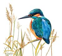 Pollyanna Pickering Countryside Card - Kingfisher