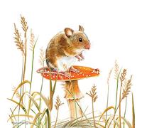 Pollyanna Pickering Countryside Card - Mouse