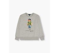 Polo Ralph Lauren Boys Grey Kids Boys' Bear Cotton-blend Jumper M