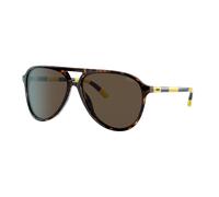 Polo Ralph Lauren Man Sunglass PH4173 - Frame color: Shiny Dark Havana, Lens color: Brown