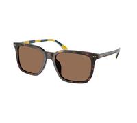 Polo Ralph Lauren PH4224U 500373 Man Sunglasses Acetate Turtle Brown Squared Normal