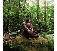 Polobi & the Gwo Ka Masters Abri Cyclonique (CD) Album (US IMPORT)