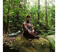 Polobi the Gwo Ka Masters - Abri Cyclonique CD - CD - Z123z