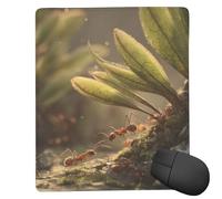 POLOKIMM Ants Mouse Pad Gaming Mouse Pad Mouse Pads For Desk Ergonomic Mousepad Non-Slip Mouse-Pad (18 Cm X 22 Cm)