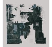 Poly-Math - Something Deeply Hidden [VINYL]