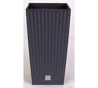 Prosper Plast DRTS225-S433 22.5 x 22.5 x 42.1 cm "Rato" Square Flowerpot - An...