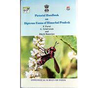 Polyclads of Andaman and Nicobar Islands