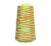 Polyester Sewing Thread High Strength Durable Multipurpose Hand Machine Embroidery Thread for Quilting Crafting and Daily Sewing Projects 1 Pack (060428)