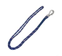 Polyester Swing Rope with Stainless Steel Carabiner for Outdoor & Tree Swing Attachment - 200 kg Load Capacity, 150 cm Length, Blue (1-Pack)(Rope Length of 100CM)
