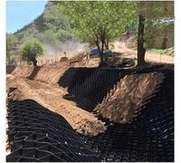Polyethylene for She & Pathways2 Tall Mud Control Gri Available in 3ft to 30ft Sizes Perfect for Pavers & Flagstone Base (4x9m/13x30ft)