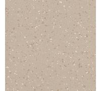 Polyflor Polysafe Quattro Pur Barley Cove 5761 Beige Speckled Effect Anti-Slip Commercial Flooring Sheet-3M(9'9") X 2M(6'6")-6M²