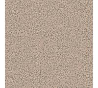 Polyflor Polysafe Standard Pur Elmwood 4520 Beige Speckled Effect Anti-Slip Commercial Flooring Sheet-3M(9'9") X 2M(6'6")-6M²