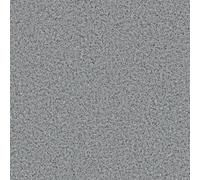 Polyflor Polysafe Standard Pur Silver Birch 4020 Speckled Effect Anti-Slip Commercial Flooring Sheet -15M(49'2") X 2M(6'6")-30M²