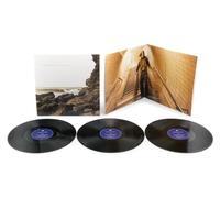 Polygon Window - Surfing On Sine Waves (Expanded Edition) [VINYL]