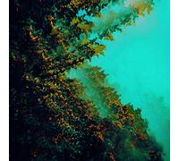 Polymoon – Caterpillars of Creation – 12" Vinyl (Membran)