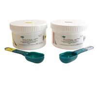 POLYOXAL HB | 400g Base & 400g Catalyst Addition Cure Silicone Dental Putty (Xcem)