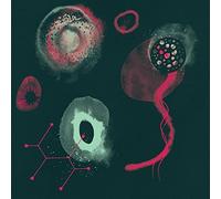 Polypores - The Impossibility [VINYL]