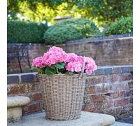Polyrattan Natural Lined Planter, H49cm x D44cm Ivyline Natural One Size