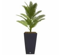 Polyrattan Plant Pot with Insert 50.5cm Anthracite Flower Pot Planter Tub