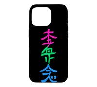 Polysexual Flag Hon Sha Ze Sho Nen Reiki Symbol Yoga Case for iPhone 16 Pro